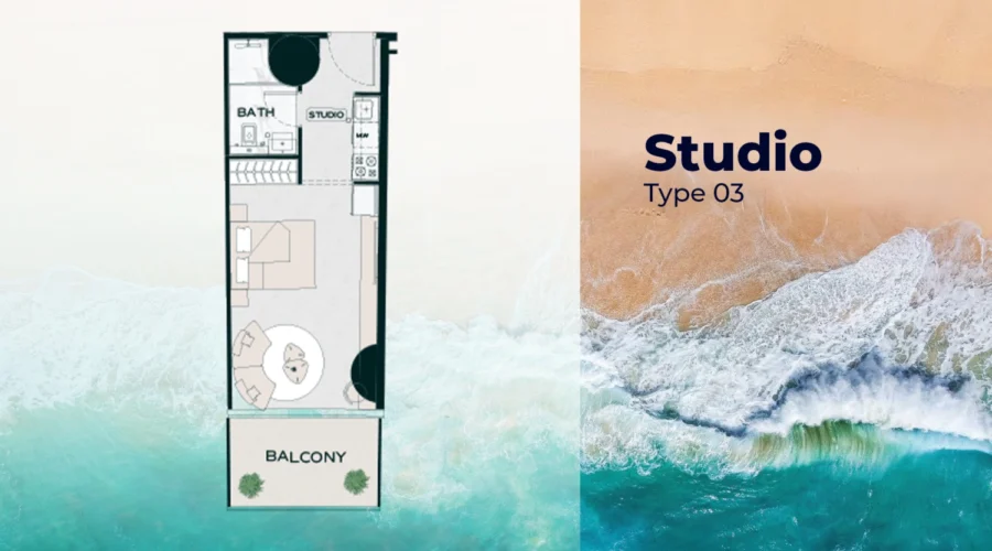 Studio - Type 3_1746797444_caa84c80